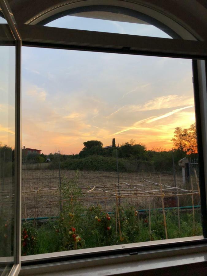 Agriturismo "Lo Zafferano" Aprilia Exterior foto